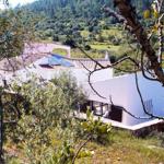 Weiße Villa mit Solaranlage in grüner Landschaft