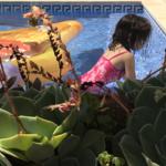 Ein Kind im Pool mit einem aufblasbaren Fisch. Vordergrund: Sukkulenten.