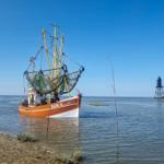 Fischerboot mit Netzen liegt im Wasser, Hafenbeleuchtung im Hintergrund.