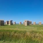 Grasfläche mit Strandkörben und klarem Himmel