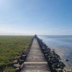 Holzweg führt entlang Wasser und Grasland. Personen gehen in Richtung Horizont.