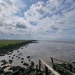 Wanderweg entlang steiniger Küste mit Blick auf Watt und Grasland unter bewölktem Himmel.