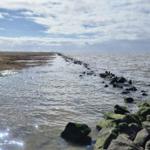Wasserlinie mit Steinen und Wattland unter bewölktem Himmel.