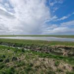Weitläufiges Grasland mit Wasserfläche und Leuchtturm im Hintergrund unter bewölktem Himmel.