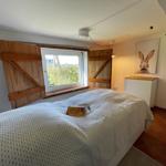 Bedroom with bed, window, and wall picture of a hare.