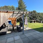 Terrasse mit Sitzgruppe unter Dach, Rasenfläche und Holzhaus im Hintergrund.