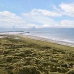 Strand mit Dünen und Windkraftanlagen am Horizont.