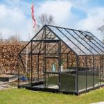 Glasgewächshaus mit schwarzer Metallstruktur im Garten. Hintergrund: Heckenzaun und Flagge.