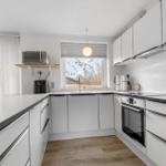 Kitchen with white cabinets, countertop, and window overlooking outside.
