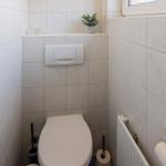 Toilettenbereich mit Toilette, Heizkörper und Pflanze an der Wand.