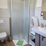 Bad mit Dusche, Waschbecken und Toilette. Holzboden und Spiegelschrank.