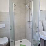 Dusche mit Duschbrause, Toilette und Waschbecken