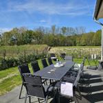 Terrasse mit Tisch und Stühlen, Grünfläche und Wald im Hintergrund.