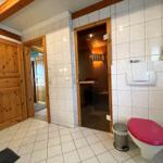 Badezimmer mit Toilette, Sauna und Holztüren.