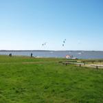 Grüner Strandbereich mit Kitesurfern und bunten Kites am Horizont.