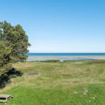 Grünes Grasland mit Blick auf das Meer und einen Picknicktisch unter einem Baum.
