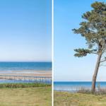 Strand mit Steg und einsamer Pinie am Meer