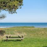 Holzbank unter einem Baum am Strand mit Blick auf das Meer.