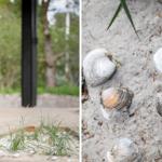 Türaussicht auf Grün und Sand mit Muscheln