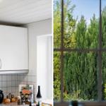 Küche mit Holz- und weißen Schränken. Blick auf grüne Hecken durch Fenster.