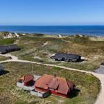 Rote und schwarze Häuser auf Dünen mit Blick auf das Meer und Windkraftanlagen.