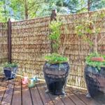 Terrasse mit Holzdielen, großen Pflanzgefäßen und Bambuszaun im Hintergrund.