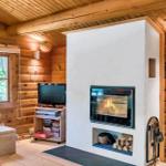 Wohnzimmer mit Kamin, Fernseher und Fensterblick auf Wald