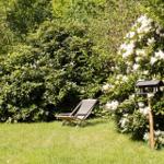 Ein Liegestuhl steht auf einer Wiese neben blühenden Sträuchern und einem Vogelhaus.
