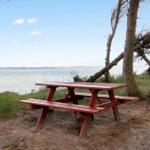 Roter Picknicktisch unter Bäumen am Wasser