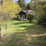 Schwarzes Haus mit Terrasse im Grünen