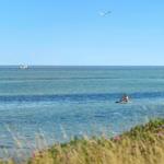 Ein Paddler auf dem Wasser, zwei Möwen fliegen über dem Meer.