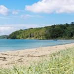 Strand mit Sand, Gras und blauem Wasser unter bewölktem Himmel.