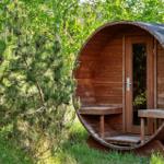 Holzsauna im Wald mit Tür und Bänken
