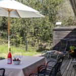 Terrasse mit Tisch, Sonnenschirm, Liegen und Grill. Hintergrund: Wald und Schuppen.
