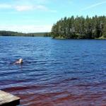 Ein Mensch schwimmt im See. Im Hintergrund sind Bäume und ein hölzerner Steg sichtbar.