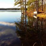 Stiller See mit Bäumen am Ufer und Spiegelung im Wasser.