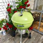 Grüner Grill auf Holzterrasse mit roten Rosen und Gitterwand im Hintergrund.