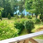 Grün bewachsener Garten mit Wald und Blick auf See