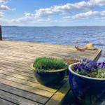 Holzterrasse am Wasser mit Blumenkästen und Blick auf See.