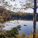 Ein ruhiger See mit Boot und Holzsteg, umgeben von Bäumen im Herbst.