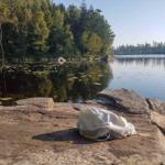 Ein weißer Stoff liegt auf einem Stein am Seeufer mit Wald im Hintergrund.