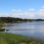 Seeufer mit Gras, Bäumen und Holzpfählen im Wasser unter blauem Himmel.