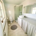 Badezimmer mit Dusche, Waschbecken und Toilette. Fenster und Spiegel sichtbar.