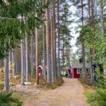 Waldweg führt zu einem roten Holzhaus mit Grill und kleinem Garten.