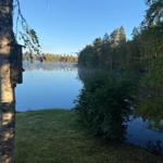 Seeufer mit Birke und Vogelhaus, Wald im Hintergrund