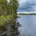 Seeufer mit Bäumen und Steinen unter bewölktem Himmel