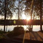 Sonnenuntergang über See mit Holzterrasse und Bäumen