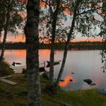 Lakeside-View mit Birken, Boot und Sonnenuntergang.