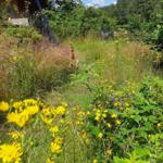 Haus mit Blumen und Wald im Hintergrund
