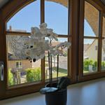 Großes Fenster mit Blick auf Dach und Garten. Weiße Orchidee auf Fensterbank.